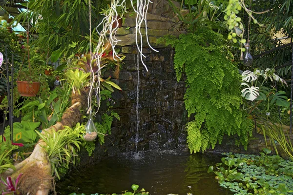 Ett litet vattenfall, vattnet rinner i en damm med fisk, på repen hängande lampor — Stockfoto