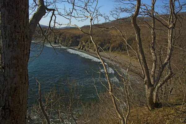 La pendiente, en que el primer camino la hierba joven, el paisaje hermoso con prorastajushhej la hierba . — Foto de Stock