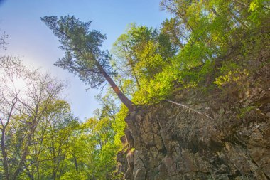 büyük uçurum, dik kaya ve kenar kenarında asılı ağaç ağaç köklerinin tutar.