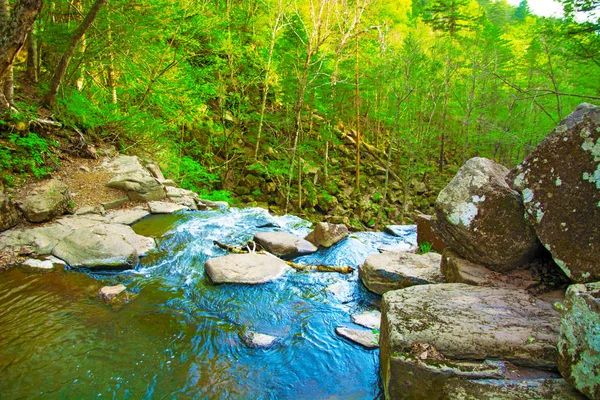 Vista Topo Cachoeira Caindo Paisagem Florestal Com Uma Cachoeira Onde — Fotografia de Stock
