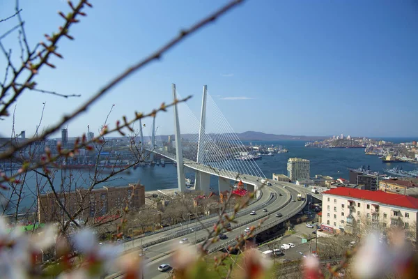 El puente sobre la bahía, en la ciudad portuaria. día soleado y floreciente vegetación — Foto de Stock