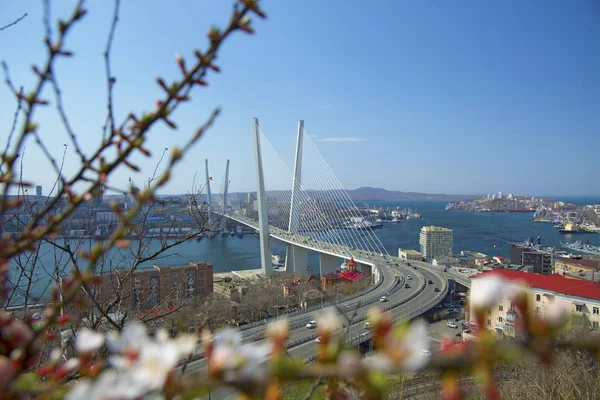 Bron över viken, i hamnstaden. solig dag och blomstrande grönska — Stockfoto