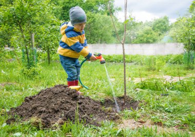 Bahçedeki küçük çocuk, ağaç sulama fidan bir hortum dan ipliklerini tarafından dikilmiştir, 