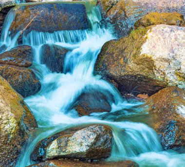 Ormana küçük rapids büyük şelaleler, Tayga, suyumuz. güneşli gün