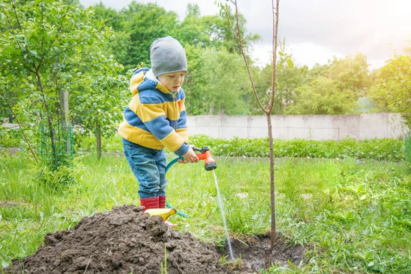 Bahçedeki küçük çocuk, ağaç sulama fidan bir hortum dan ipliklerini tarafından dikilmiştir, 