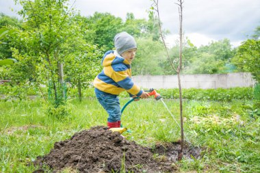 Bahçedeki küçük çocuk, ağaç sulama fidan bir hortum dan ipliklerini tarafından dikilmiştir, 