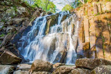 güzel orman şelale. Taşlı yamaçta fırtınalı orman şelale çalışır.