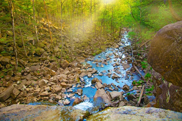 Vista do topo da cachoeira caindo, paisagem florestal com uma cachoeira, onde começa a descida à água . — Fotografia de Stock