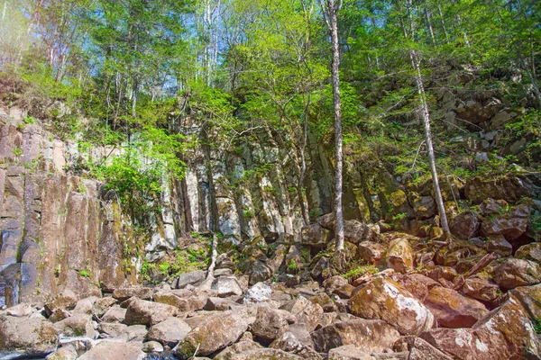 Piękny las wodospad. na kamienistym zboczu działa burzliwym lesie wodospad. — Zdjęcie stockowe