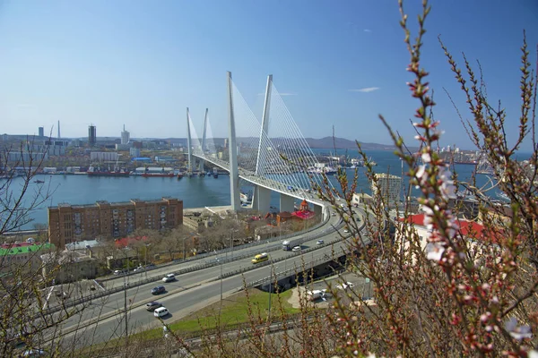 Bron över viken, i hamnstaden. solig dag och blomstrande grönska — Stockfoto