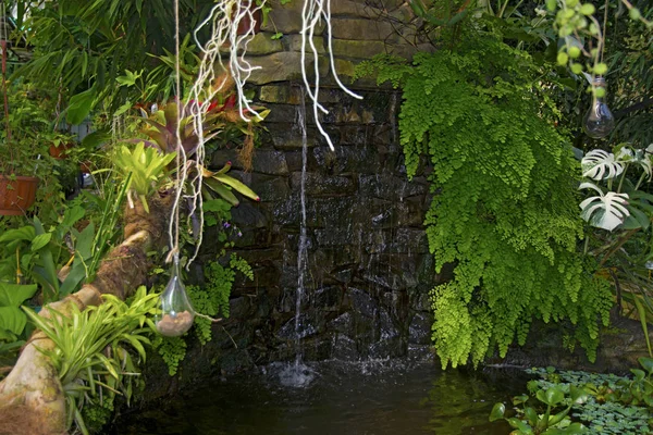 Une petite cascade, l'eau coule dans un étang avec des poissons, sur les cordes suspendues lampes — Photo