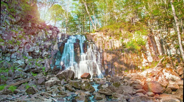 Schöner Waldwasserfall. am steinigen Hang verläuft stürmischer Waldwasserfall. — Stockfoto