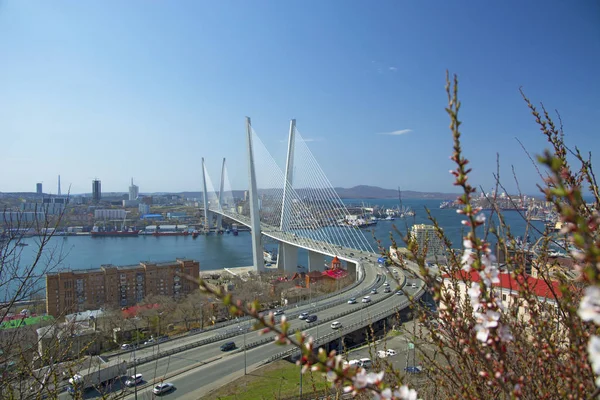 Bron över viken, i hamnstaden. solig dag och blomstrande grönska — Stockfoto