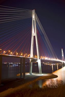 güzel bir gece şehir ışıkları. Bay yüksek köprüden dikmesi üzerinde gerilmiş.