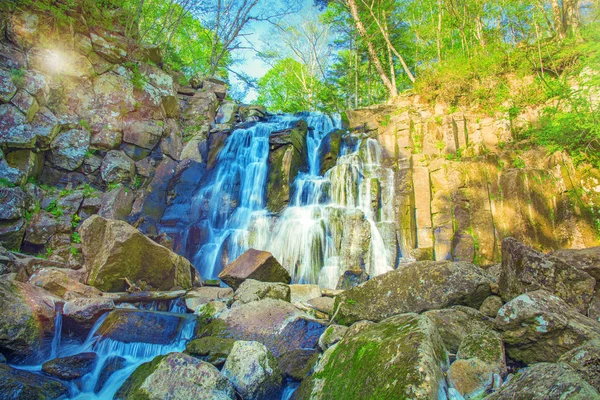 Bela cachoeira floresta. na encosta pedregosa corre cachoeira floresta tempestuosa . — Fotografia de Stock