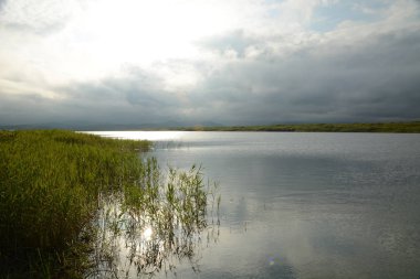 yeşil bitkiler, kalın karanlık bulutlar ile göl temizleyin,