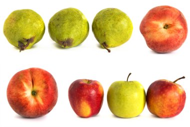 Beyaz vone şeftali armut elma. İzole.