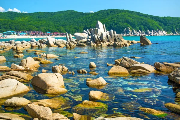 güzel bir plaj birçok yüksek taşları tahrip kayalar, ağaçlar büyümek.