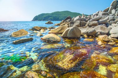 güzel bir plaj birçok yüksek taşları tahrip kayalar, ağaçlar büyümek.
