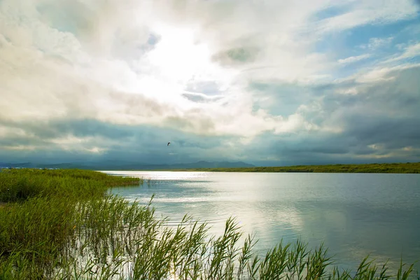 Lago claro con plantas verdes, densas nubes oscuras , — Foto de Stock