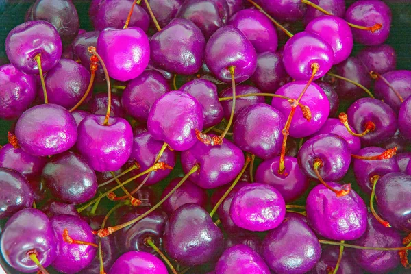 Cereja grande, madura, suculenta, brilhante. bagas doces . — Fotografia de Stock