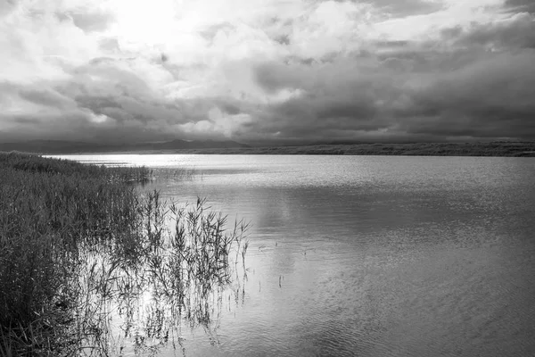 맑은 호수 녹색 식물, 두꺼운 어두운 구름, — 스톡 사진