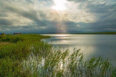 yeşil bitkiler, kalın karanlık bulutlar ile göl temizleyin,