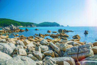 güzel bir plaj birçok yüksek taşları tahrip kayalar, ağaçlar büyümek.