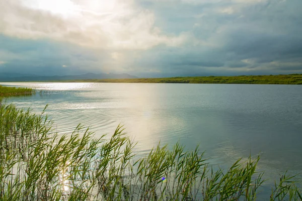 Lago claro con plantas verdes, densas nubes oscuras , — Foto de Stock
