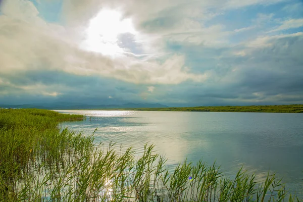 Lago claro con plantas verdes, densas nubes oscuras , — Foto de Stock