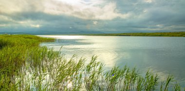 yeşil bitkiler, kalın karanlık bulutlar ile göl temizleyin,