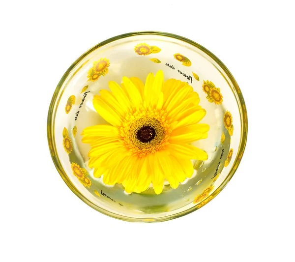 Gerber bloemen in een vaas op een witte achtergrond, — Stockfoto