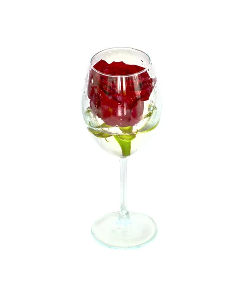 One rose in a glass on a white background, — Stock Photo, Image