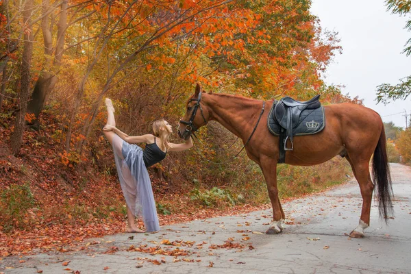 Jovem bela dançarina, posando com um cavalo na floresta, ginasta flexível . — Fotografia de Stock