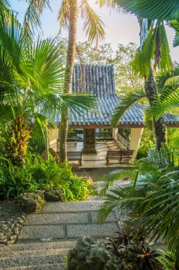 parka, Asya güzel yoğun bir orman rock merdiven büyük taş merdiven iner 