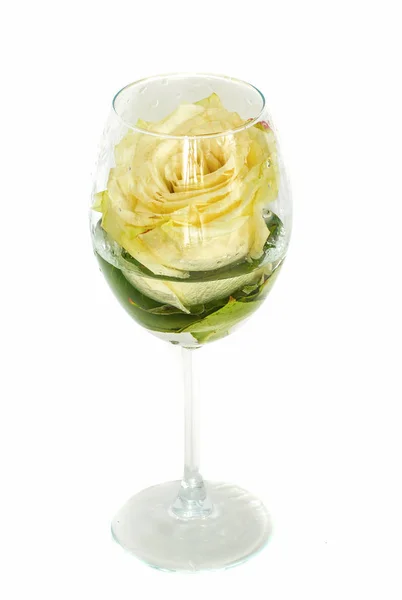 Één roos in een glas op een witte achtergrond, — Stockfoto