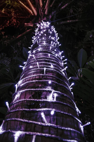 Palmeira decorada com guirlanda, árvore de Natal muitas luzes na noite. trópicos, Ásia — Fotografia de Stock