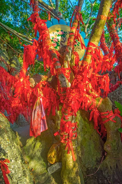 Высокие деревья полностью украшены красными лентами. много красных лент, привязанных к деревьям. Азия — стоковое фото