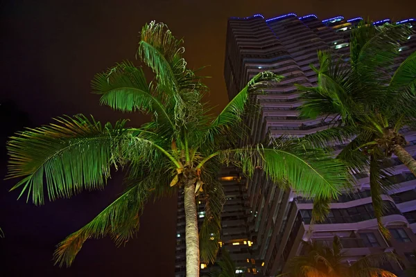 Arranha-céus altos e belas palmas, cidade noturna nos trópicos, a combinação de natureza e arquitetura . — Fotografia de Stock