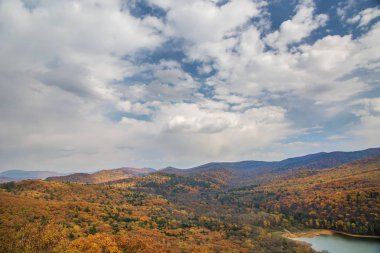 büyük bir depo, üstten görünüm. sonbahar orman ve yüksek mavi gökyüzü, 