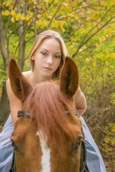 Egy fiatal, szőke lány pózol egy ló, egy gyönyörű lány, és egy erős ló. — Stock Fotó