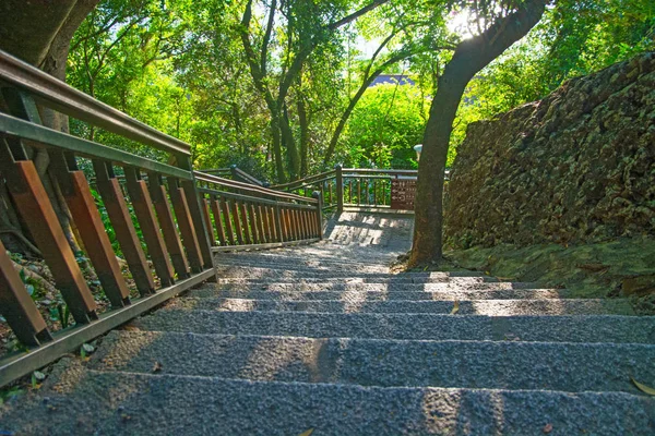 Grand escalier en pierre dans une belle forêt dense d'escaliers rocheux descend vers le parc, Asie — Photo