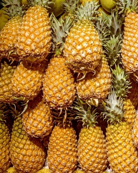 Un montón de maduros, hermosas piñas, un escaparate lleno de fruta jugosa — Foto de Stock