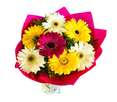 Beyaz bir arka plan üzerinde gerbera, arka plan olmadan izole çiçekler büyük güzel buket. sürü büyük renk. 