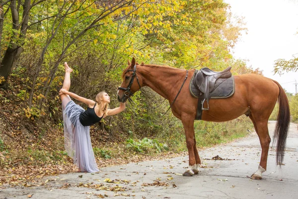 Mladé krásné tanečnice, pózuje s koněm v lese, pružná gymnastka. — Stock fotografie