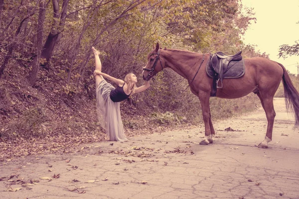Fiatal gyönyörű táncos, jelentenek a lovat az erdőben, rugalmas tornász. — Stock Fotó