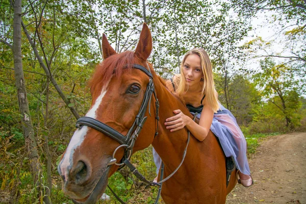 Uma jovem, menina loira posando com um cavalo, uma menina bonita e um cavalo forte . — Fotografia de Stock