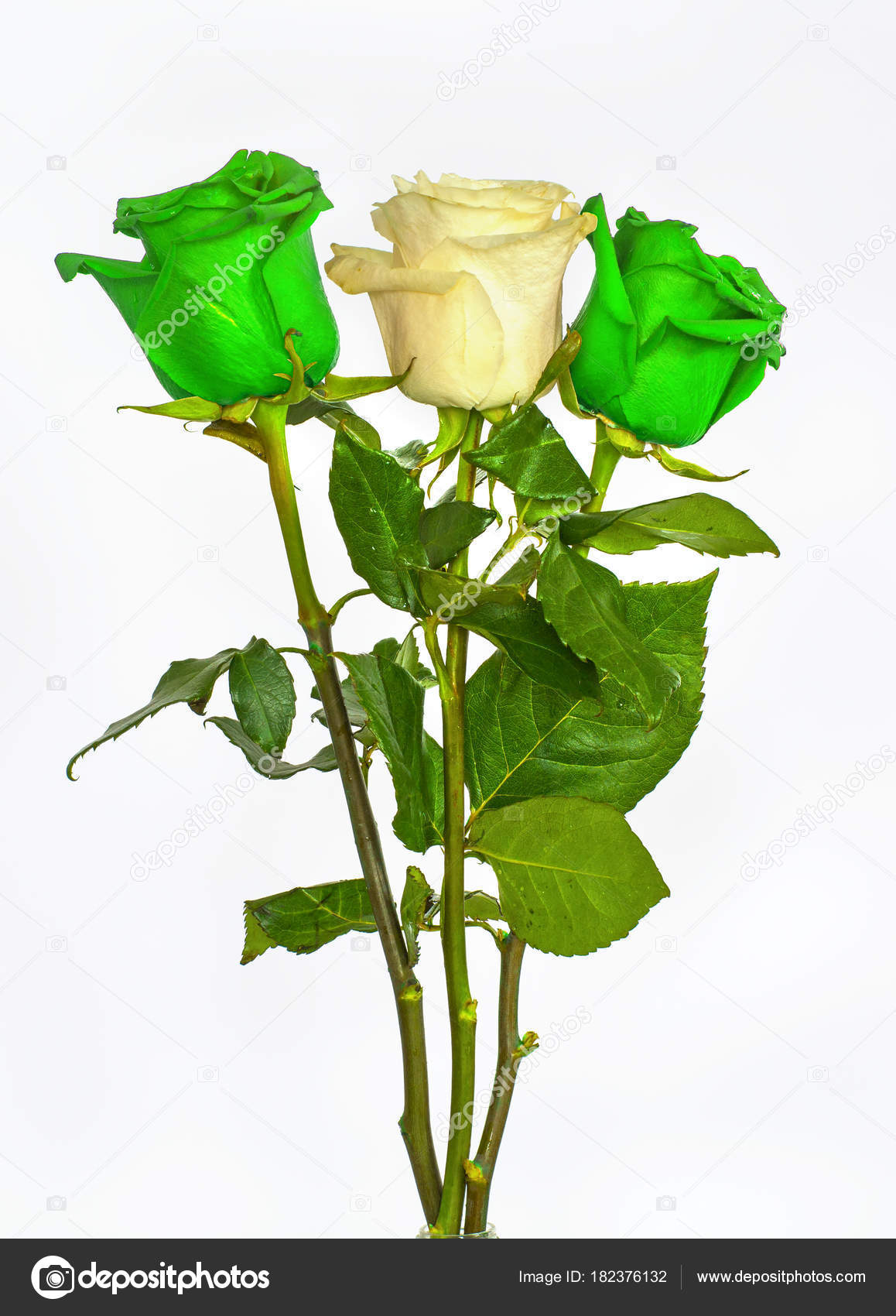 Grand Beau Bouquet De Fleurs Blanches Et Vertes Bleues Roses