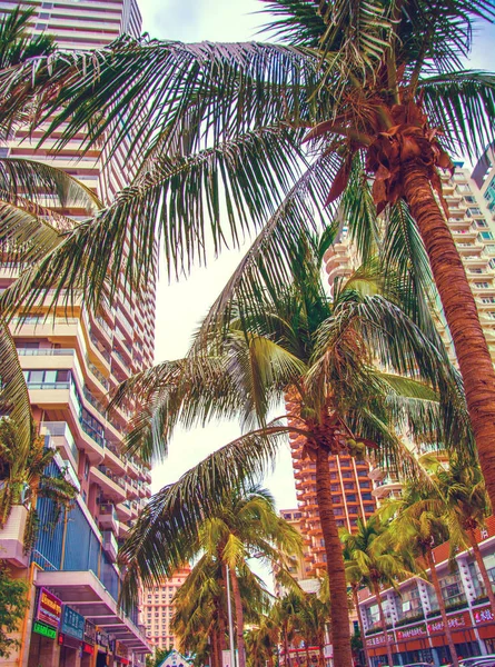 Arranha-céus altos, passarelas e belas palmeiras. Palmeiras plantadas ao longo da estrada, os trópicos — Fotografia de Stock
