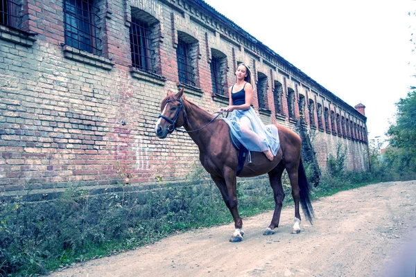 젊은, 금발 여자는 말, 아름 다운 여자와 강한 말 포즈. — 스톡 사진